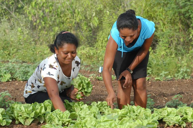 MULHERES DAS COMUNIDADES TRADICIONAIS SUAS LUTAS E CONQUISTAS - CPT - Bahia